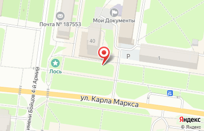 Цветы на улице 1 на карте