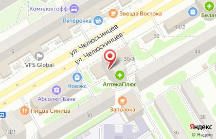 Ветеринарная аптека, ООО на улице Челюскинцев на карте