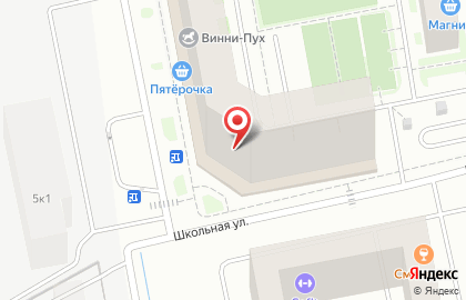 Школа тхэквондо Грифон в Пушкинском районе на карте