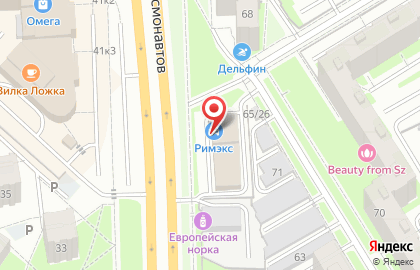 Шинный центр Римэкс на проспекте Космонавтов на карте