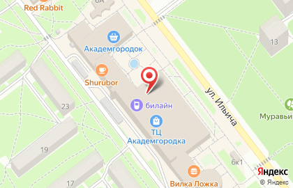 Магазин сувениров, подарочной упаковки и искусственных цветов на карте