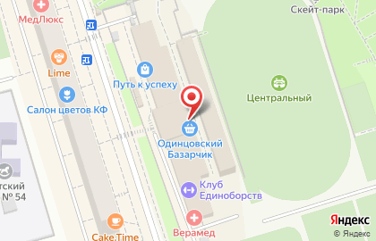 Г. Одинцово Центральный Стадион на карте