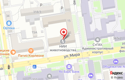 СНИИЖК, Ставропольский НИИ животноводства и кормопроизводства на карте