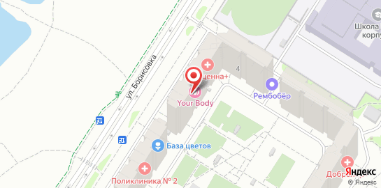 Медицинский центр Авиценна+ на улице Борисовка на карте
