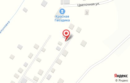 Садовый питомник Красная гвоздика в Перми на карте