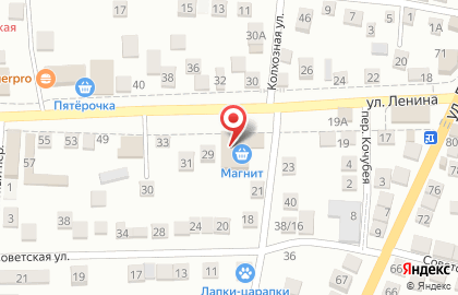 Амина на улице Ленина на карте