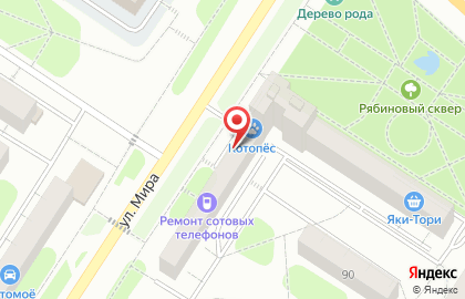 Магазин электроники iGadget на карте