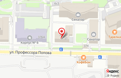 Зиас на улице Профессора Попова на карте