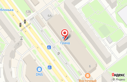 DetkinGrad.ru на карте