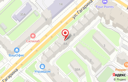 Зоосалон Хвостатый модник на улице Гагарина на карте