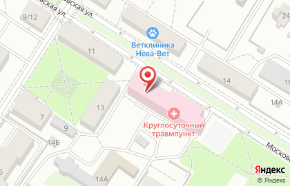 Городская поликлиника №60 на Московской улице в Пушкине на карте