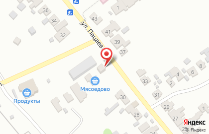 Мясоедово на улице Пацаева на карте