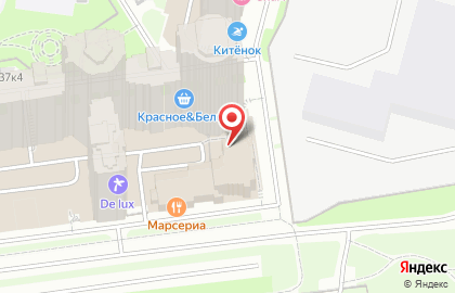 Школа тхэквондо Грифон на Приморском проспекте на карте