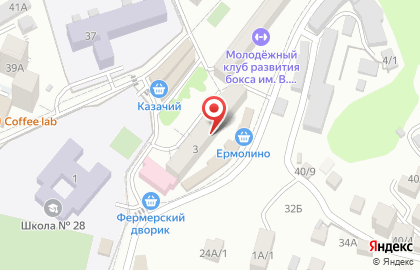 Фармакон на Лесной на карте
