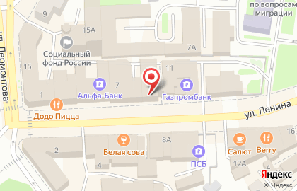 Магазин спортивных товаров Мир спорта на улице Ленина на карте
