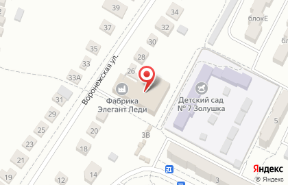 Фабрика Элегант Леди на Воронежской улице на карте