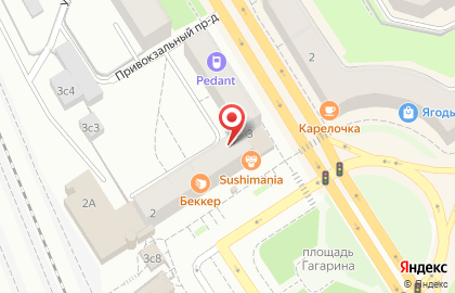 Компания по автопрокату Прокатин на площади Гагарина на карте