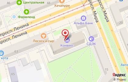 Авеню на проспекте Ленина на карте