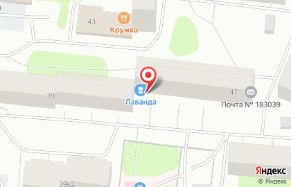 Цветочная сеть Лаванда на улице Академика Книповича на карте