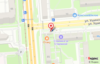 Сеть магазинов цветов Княжна в Мотовилихинском районе на карте