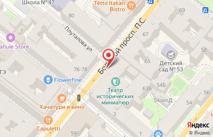 Фирменный магазин Samsung в Петроградском районе на карте