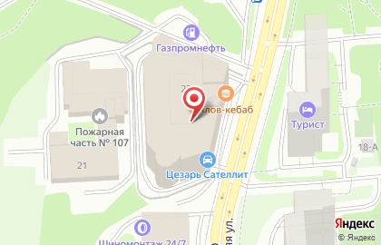 Сервисная компания MSC Alpha на карте