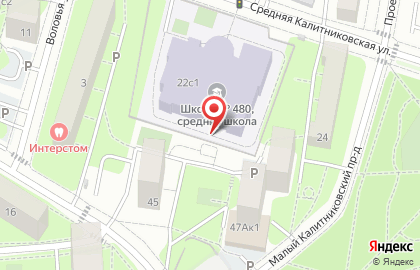 # 480 им. В.в. Талалихина на карте