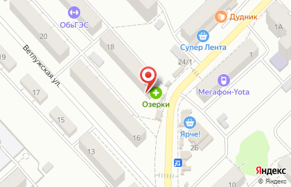 Оптика Level на Ветлужской улице на карте