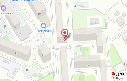 Мастерская в новосельцах на карте