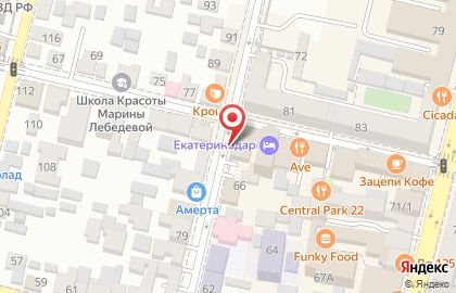 Арника на Рашпилевской улице на карте