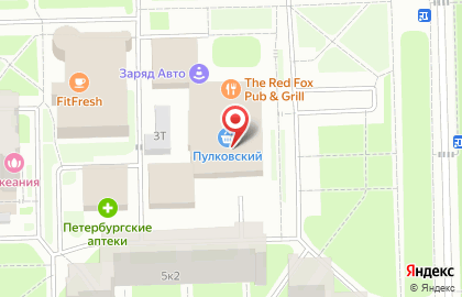 Приемный пункт химчистки Пингвин на Пулковском шоссе на карте