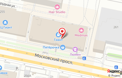 Аптека Новая аптека на Московском проспекте, 257 на карте