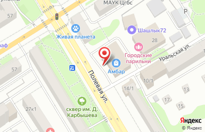 Интернет-магазин электроники и бытовой техники LOGO.ru на Полевой улице на карте