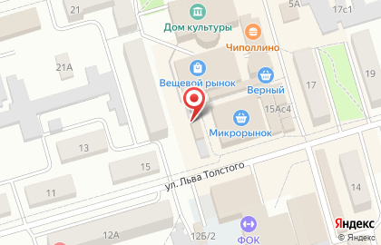 Универмаг Центральный на улице Л.Толстого на карте