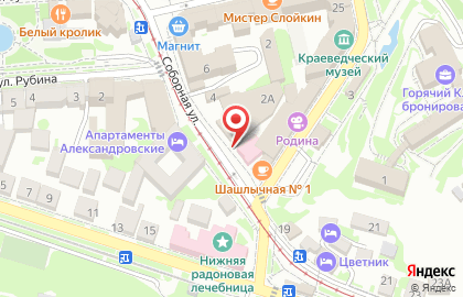 Гомеопатическая аптека Адонис в Пятигорске на карте