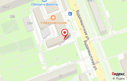 Магазин цветов Цветовик на Будапештской улице на карте