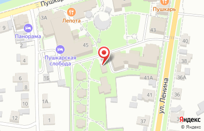 Сувенирная лавка на улице Ленина на карте