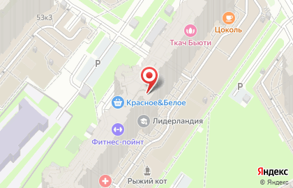 Школа навыков будущего Лидерландия на карте
