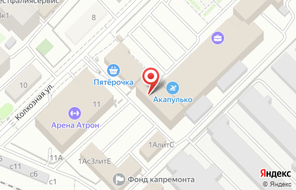 Частное охранное предприятие Зубр на улице Маяковского на карте