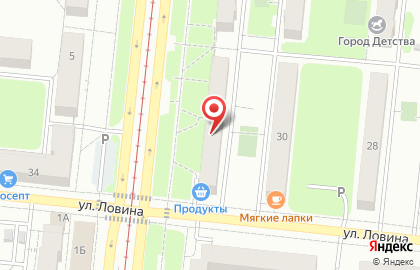 Продуктовый магазин в Челябинске на карте
