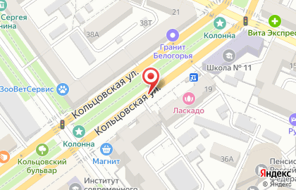 Русский Аппетит на Кольцовской улице на карте