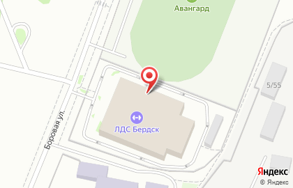 Бердск, ледовый дворец спорта на карте