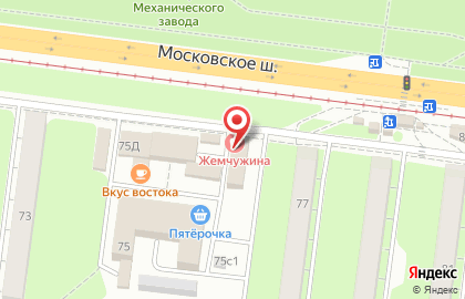 Стоматологическая клиника Жемчужина на Московском шоссе на карте
