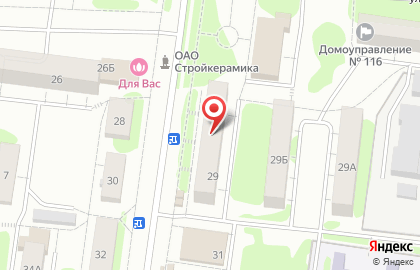 Птица на карте