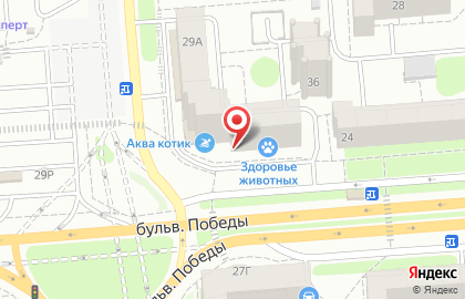 Автошкола Форсаж в Коминтерновском районе на карте