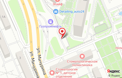 Ателье Алиса в Ленинском районе на карте