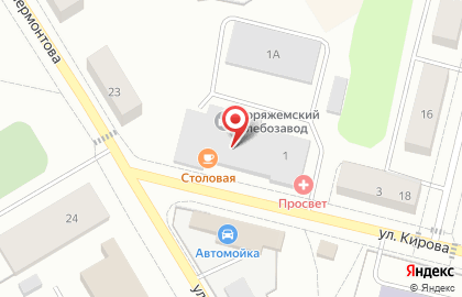 Магазин у дома Бристоль на улице Кирова на карте