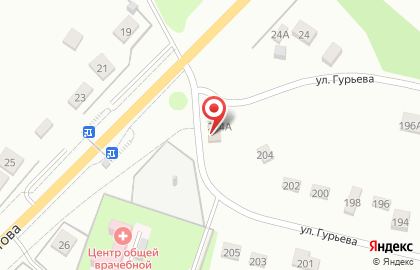 Магазин продовольственных товаров на ул. Гурьева (Ленино), 204а на карте