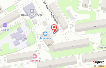 Киоск и водоматов Ново-Лядовская вода на улице Карла Либкнехта на карте