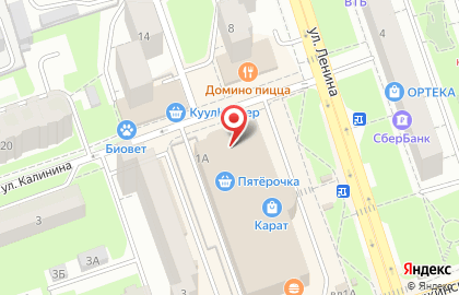 Компания Энергодевелопер на улице Ленина на карте